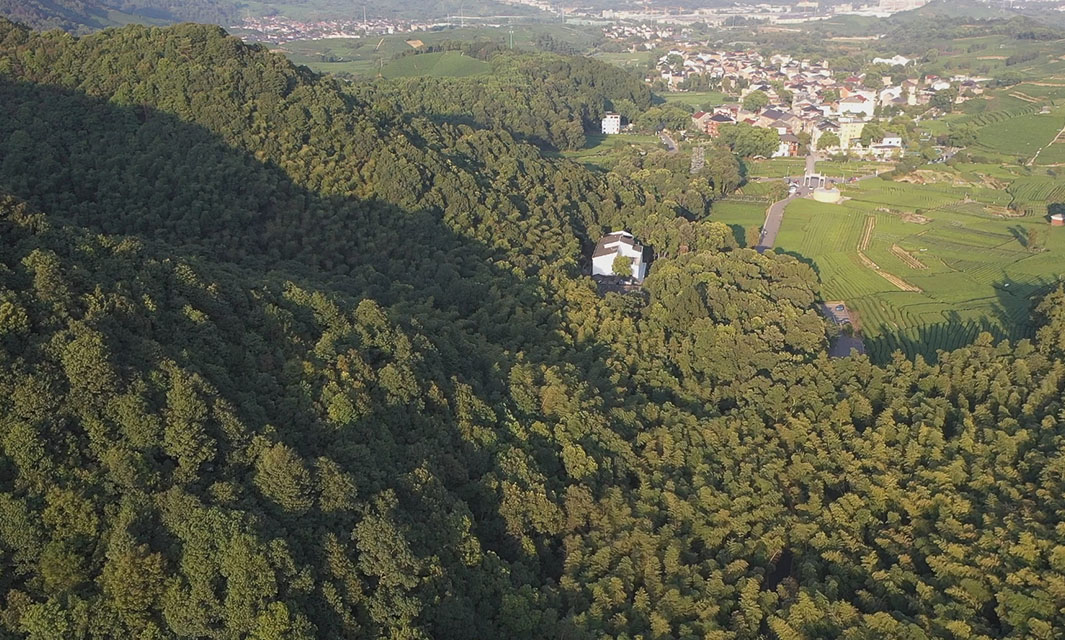 一文解析無人機森林防火,森林消防無人機的革命性應(yīng)用